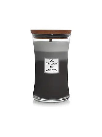 WOODWICK | Vela de reloj de arena con mecha crepitante de 454 g Trilogy Sun-Ripend Berries | grau